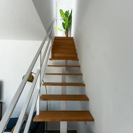 Bodega Olehousing Apartment Conil De La Frontera